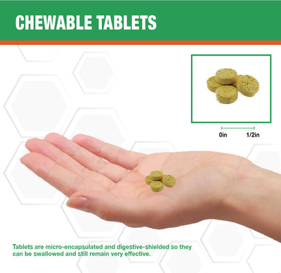 MAAC10 Caffeine Energy - Fast Acting Chewable Tablet with NADH