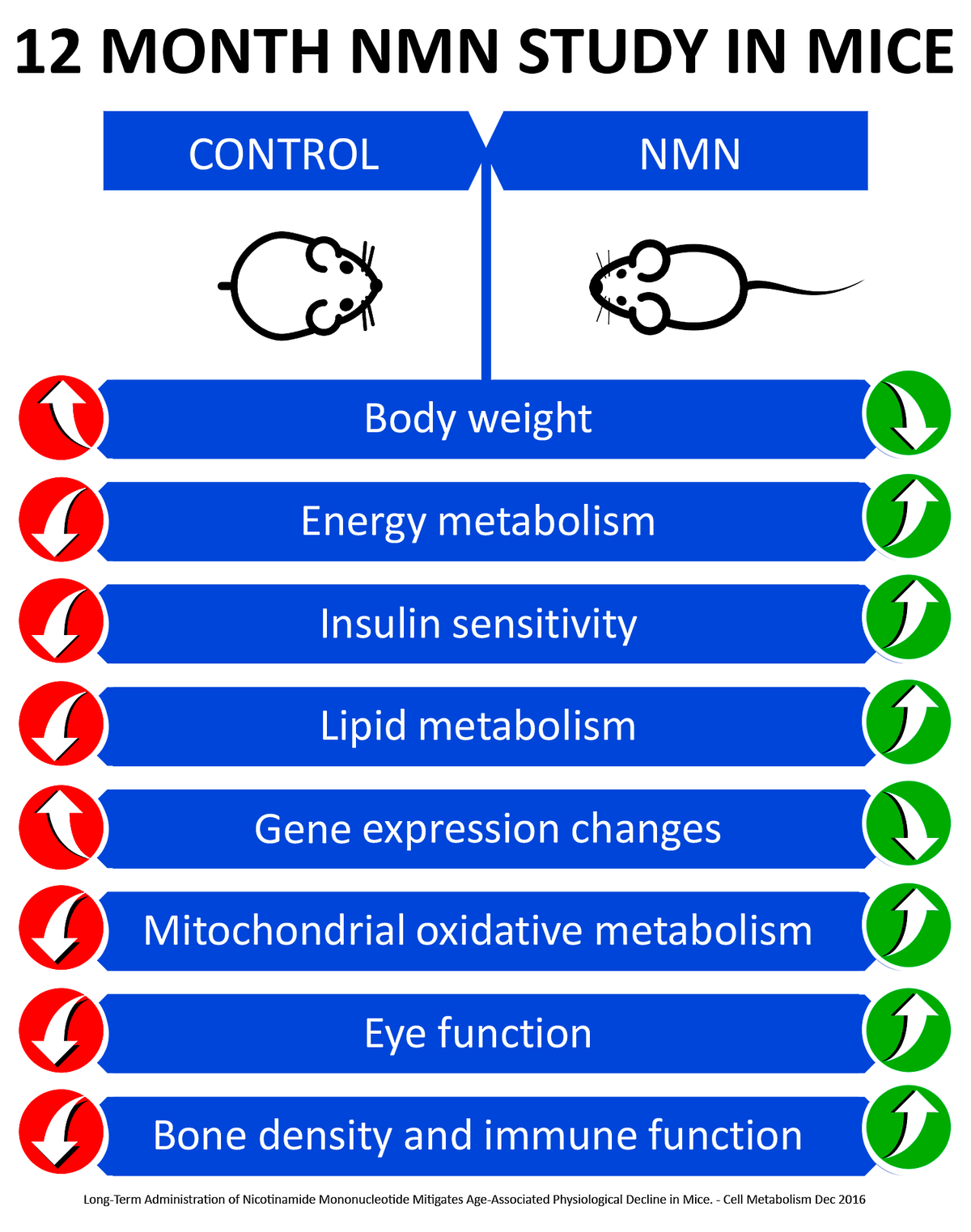 MAAC10 NMN 1000MG Serving NAD+ Supplement.