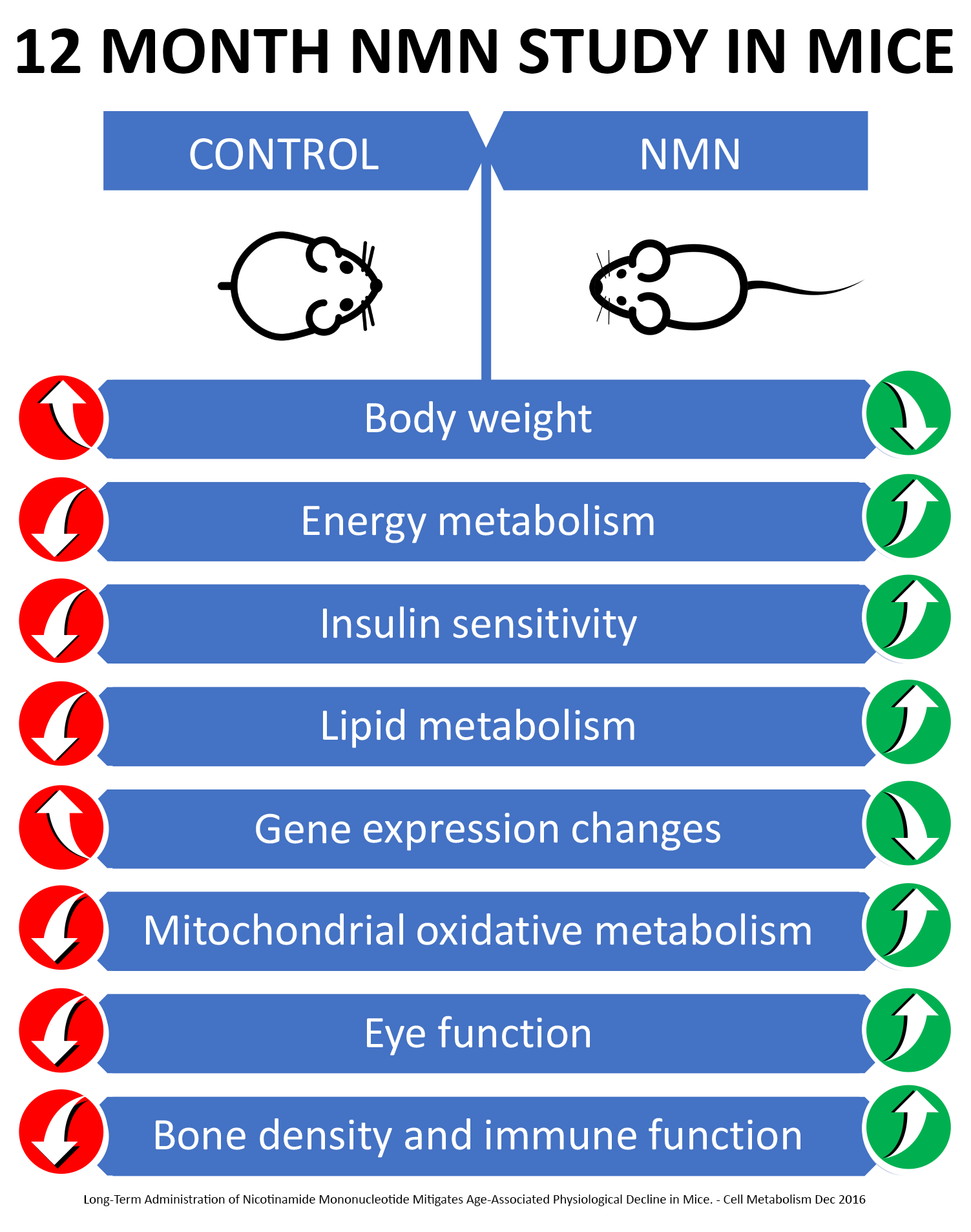 MAAC10 NMN Real Nicotinamide Mononucleotide Supplement (NMN 125mg Capsules). The Most Powerful NAD+ Precursor More Stable Than Riboside. We use 99% Pure Pharmaceutical Grade Stabilized NMN (30 Count)