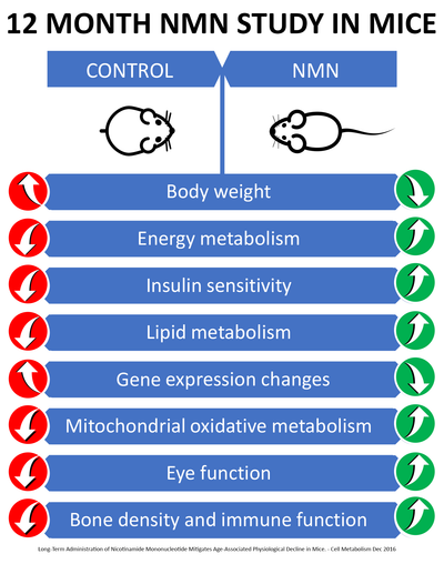 MAAC10 NMN Real Nicotinamide Mononucleotide Supplement (NMN 125mg Capsules). The Most Powerful NAD+ Precursor More Stable Than Riboside. We use 99% Pure Pharmaceutical Grade Stabilized NMN (30 Count)
