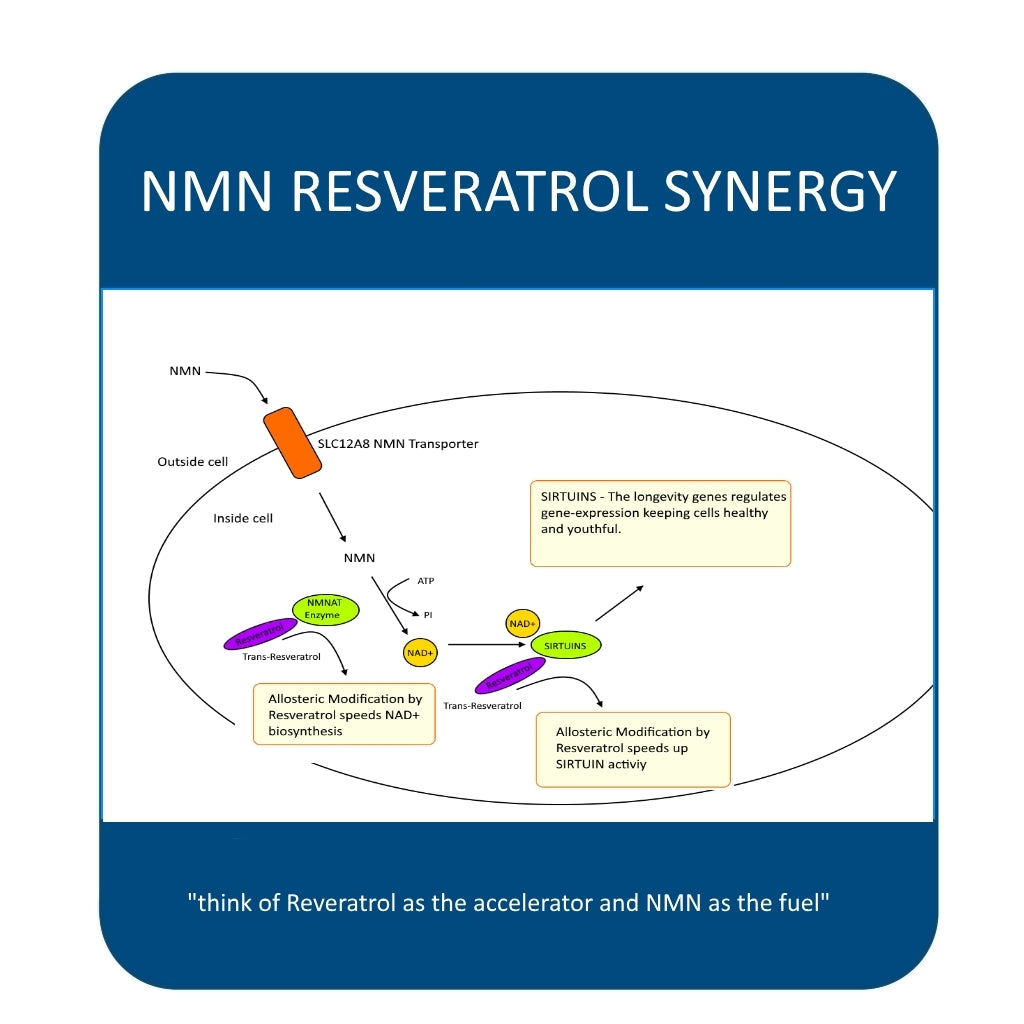 MAAC10 NMN & Resveratrol NAD+ Combo Pack